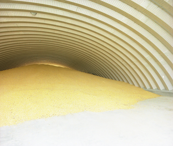 Grain Storage Building